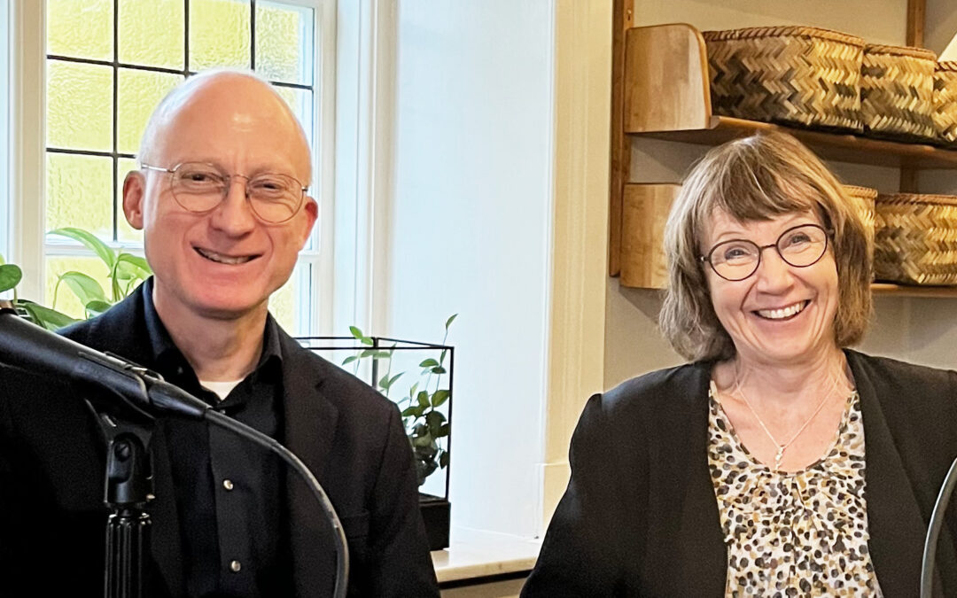 #6 Siv Liedholm och Lennart Wittberg – Om systemeffektivitet och behovet för reflektion